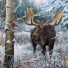 Схема вышивки «лось и белка»