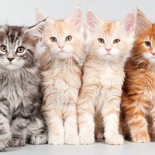 Схема вышивки «КОТЯТА»