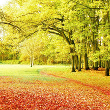 Схема вышивки «осень»