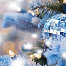 Схема вышивки «НОВАГОДНАЯ СИНИВА»