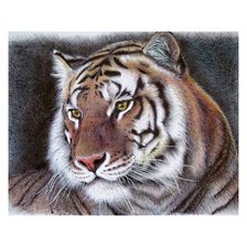 Схема вышивки «Тигр»