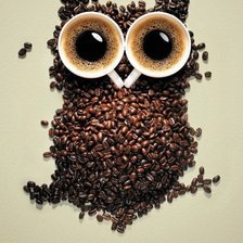 Схема вышивки «Сова»