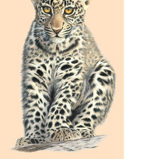 Схема вышивки «Серия "Хищники".»