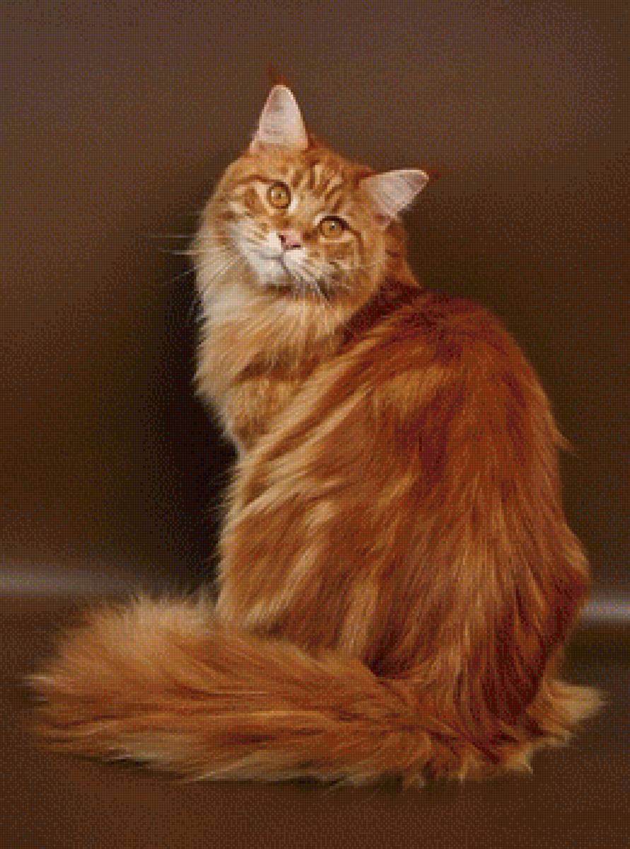 326 - предпросмотр