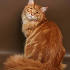 Схема вышивки «326»