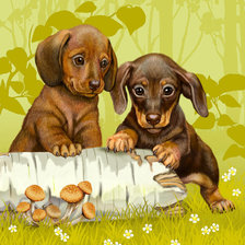 Схема вышивки «№1719863»