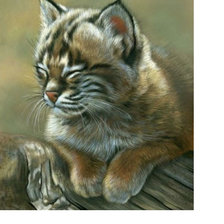 Схема вышивки «Рысенок»