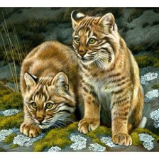 Схема вышивки «№1720338»