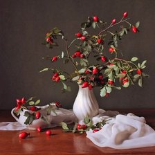 Схема вышивки «Шиповник2»