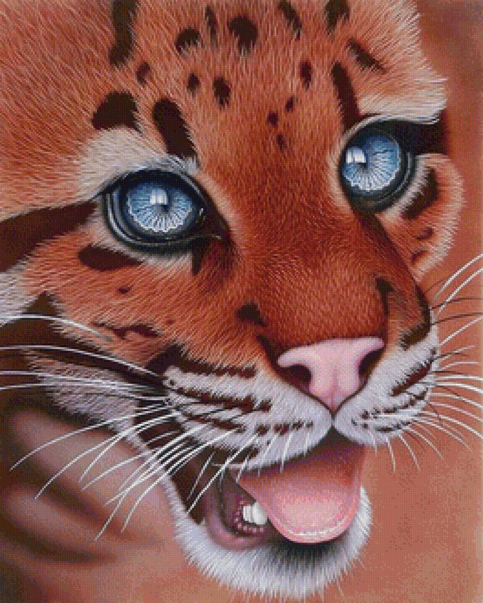 киса - предпросмотр