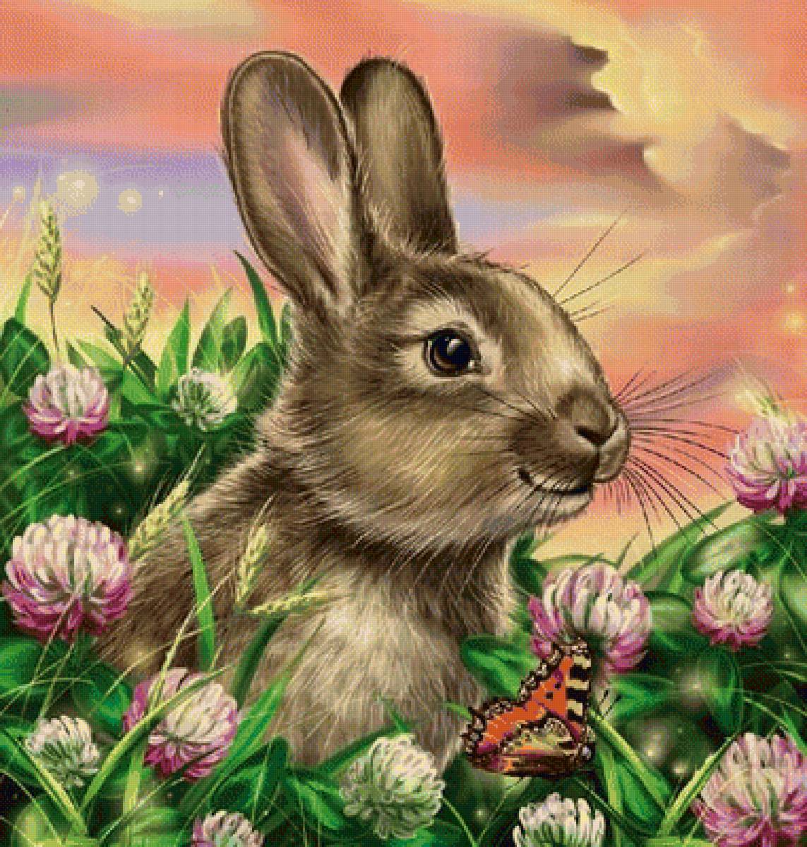 мир животных - предпросмотр