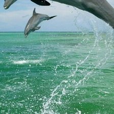 Схема вышивки «327»