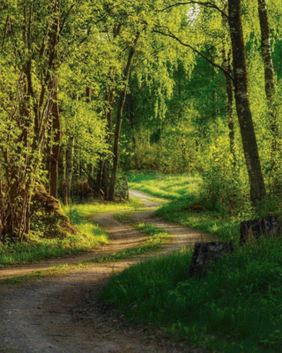 Лесная дорожка - предпросмотр