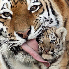 Схема вышивки «Поцелуйчик»