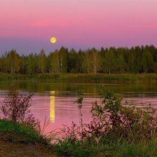 Схема вышивки «№1721104»