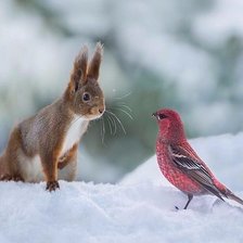 Схема вышивки «№1721110»