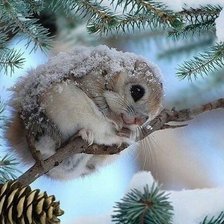 Схема вышивки «Малыш»