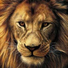 Схема вышивки «№1721125»