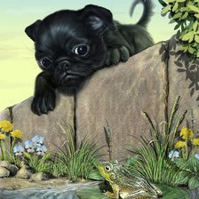 Любопытный