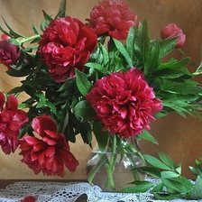 Схема вышивки «пионы»