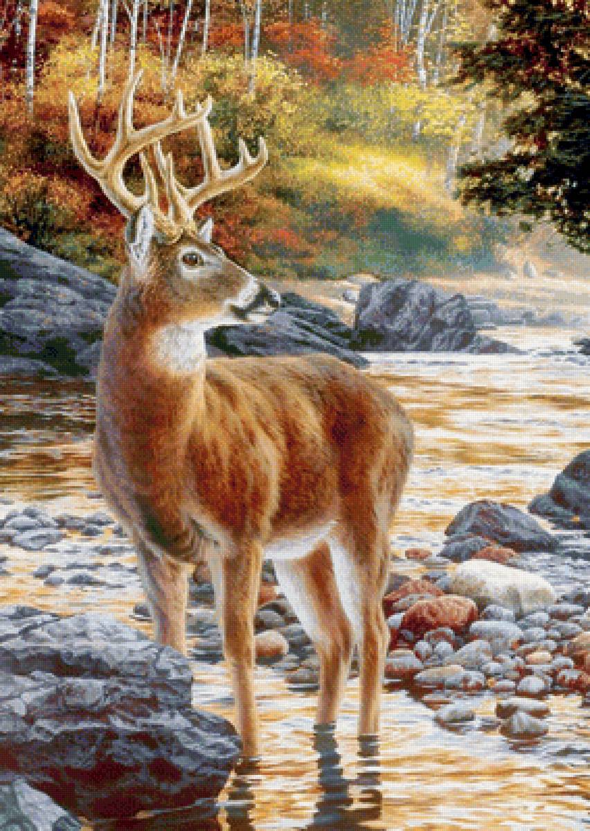 №1722037 - дикие животные - предпросмотр