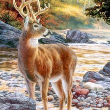 Схема вышивки «№1722037»