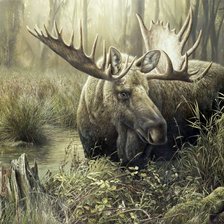 Схема вышивки «№1722043»