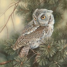 Схема вышивки «№1722049»