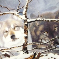 Схема вышивки «волки»