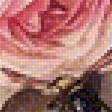 Предпросмотр схемы вышивки «розы» (№1722470)