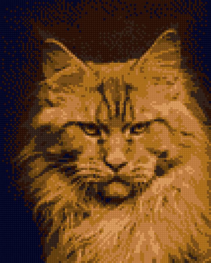 РЫЖИК - предпросмотр