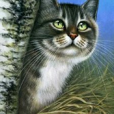 Схема вышивки «Kotik»