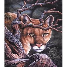 Схема вышивки «Пума»