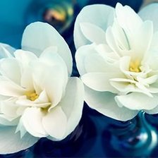 Схема вышивки «цветы»