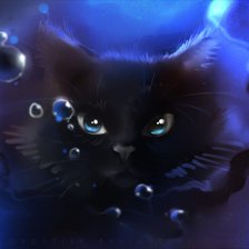 Схема вышивки «кот»