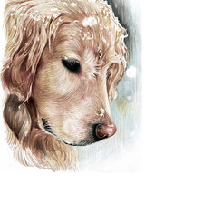 Схема вышивки «Жил-был пёс...»