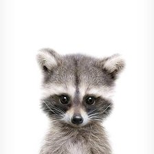 Схема вышивки «енотик»