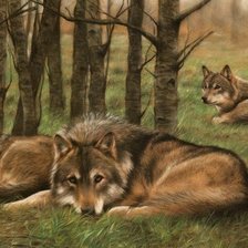 Схема вышивки «Волки»