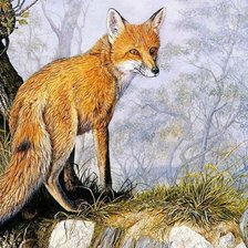 Схема вышивки «Лиса»