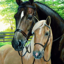 Схема вышивки «лошади»