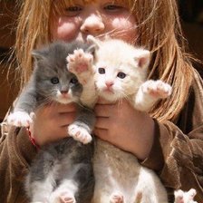 Схема вышивки «Ир»