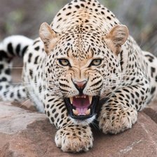 Схема вышивки «369»