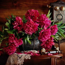 Схема вышивки «ПИОНЫ»