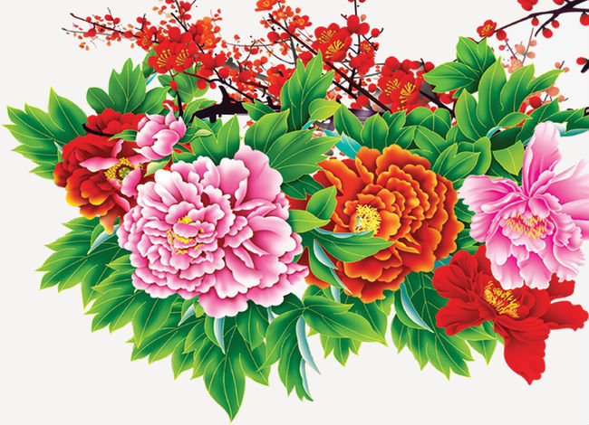 Китайские пионы - цветы, пионы - оригинал