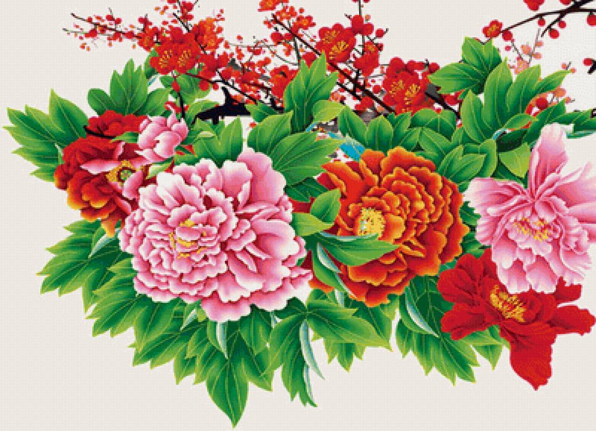 Китайские пионы - цветы, пионы - предпросмотр