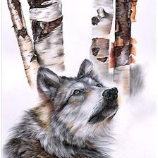 Схема вышивки «волк»