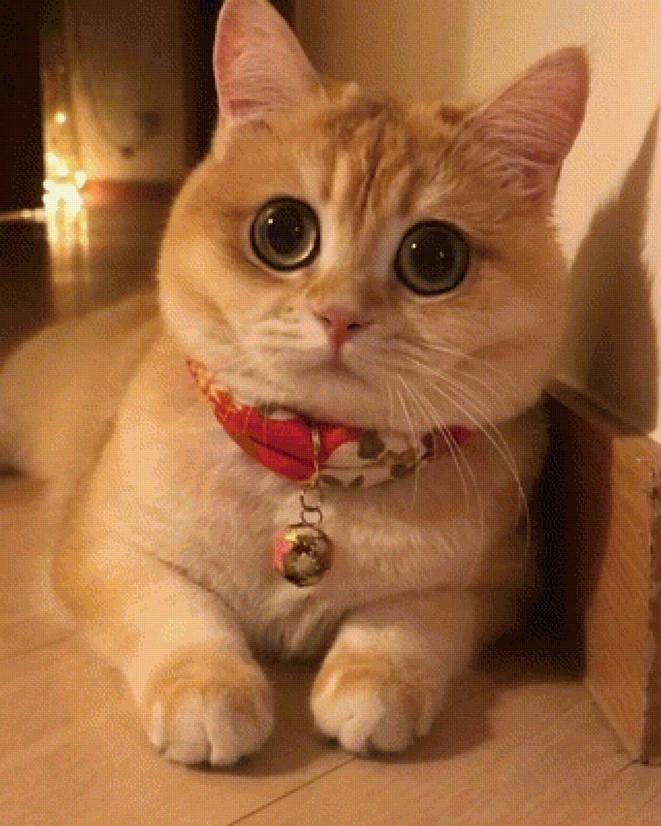 376 - предпросмотр