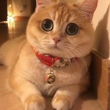 Схема вышивки «376»