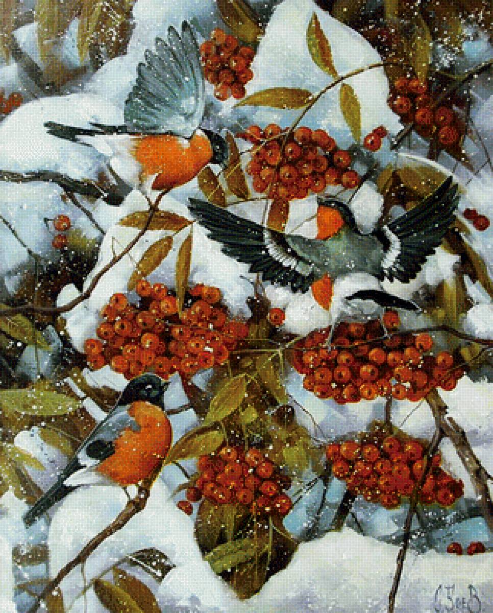 снегири на рябине - зима, природа, пейзаж - предпросмотр