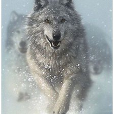 Схема вышивки «волки»